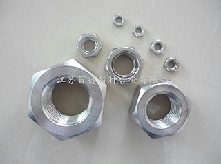 253MA不銹鋼螺母